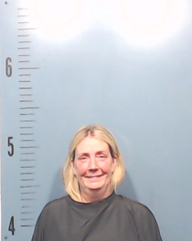 Holstein, Tamara Sue booking photo
