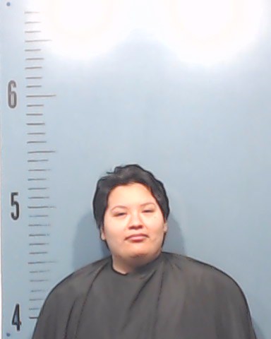 Ortiz, Emily booking photo