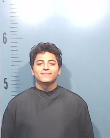 Alvarez, Mario Alberto, Jr. booking photo