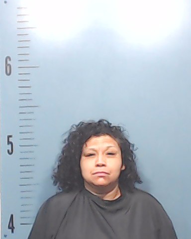 Villarreal, Cynthia booking photo