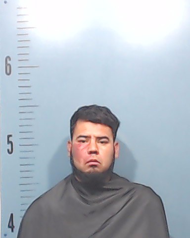 Delgadillo-Ramirez, Cesar Natividad booking photo