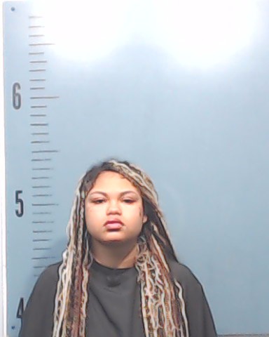 Pinder, Tessa Deann booking photo