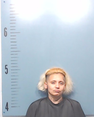 Gonzalez, Crystal booking photo