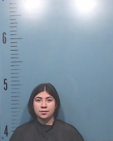 Lopez, Alexis Raquel booking photo