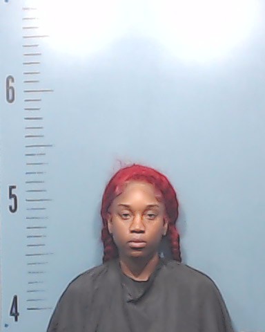 Morgan, Marshay Brianna booking photo