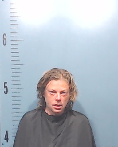 Reavey, Ashley Nicole booking photo