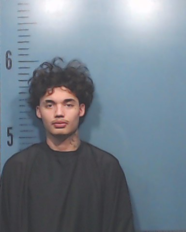 Fierro, Miguel Anthony booking photo
