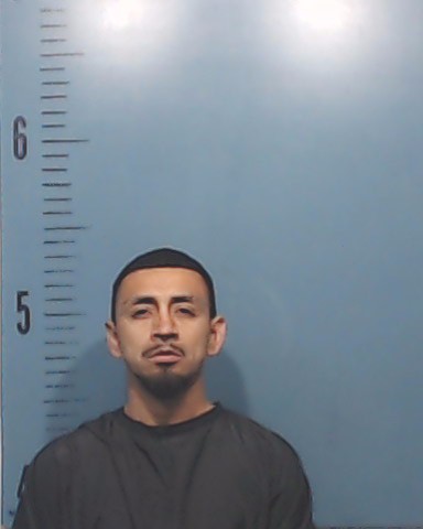 Peralez, Rolando, Jr. booking photo