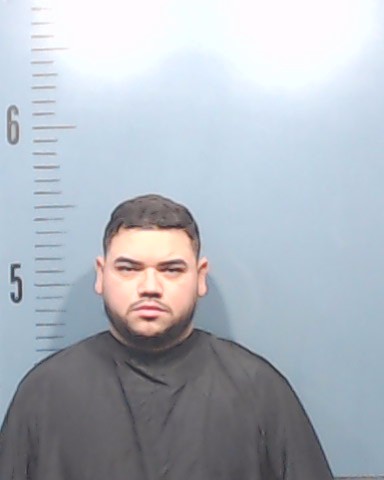 Vasquez Alvarado, Andrinson J booking photo