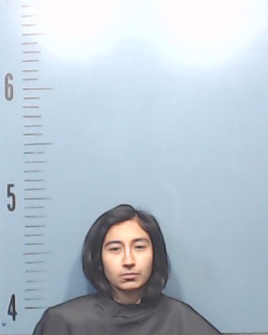 Gutierrez, Sky Michelle booking photo