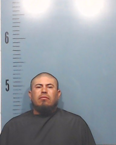 Segovia-Andrade, Juan Pablo booking photo
