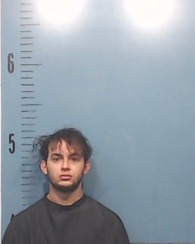 Anez Millan, Ernesto David booking photo