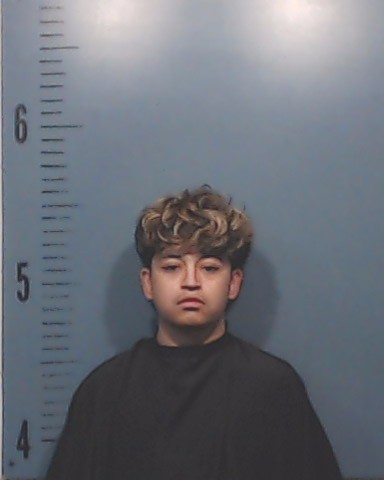 Sanchez, Luis Javier, Jr. booking photo