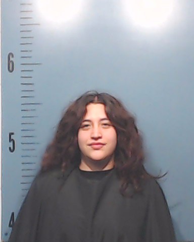 Gamez-Sanchez, Vannia Fernanda booking photo