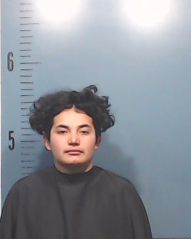 Martinez-Lopez, Delcy Jahir booking photo
