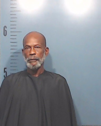 Wilson, Robert Earl, Jr. booking photo