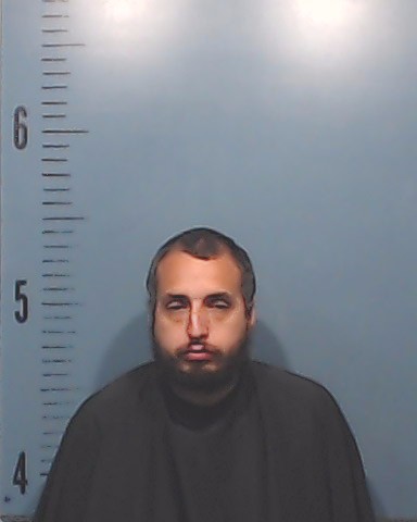 Pitman, Frank Meredith booking photo