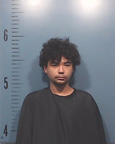 Nguyen, Thomas, Jr. booking photo