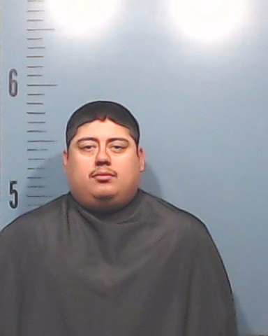 Portillo, Livan Antonio booking photo