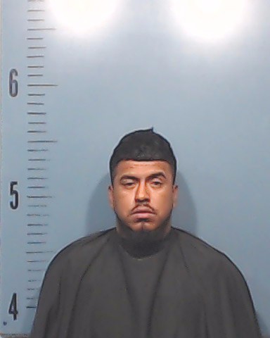Rosas-Castillo, Miguel booking photo