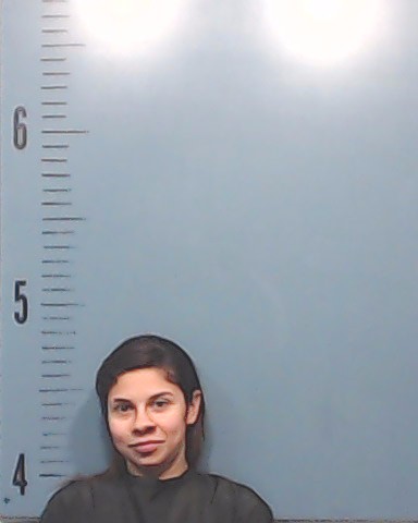 Warrick, Dionne Nicole booking photo
