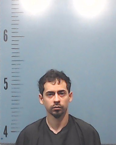 Valdez-Flores, Luis Fernandez booking photo