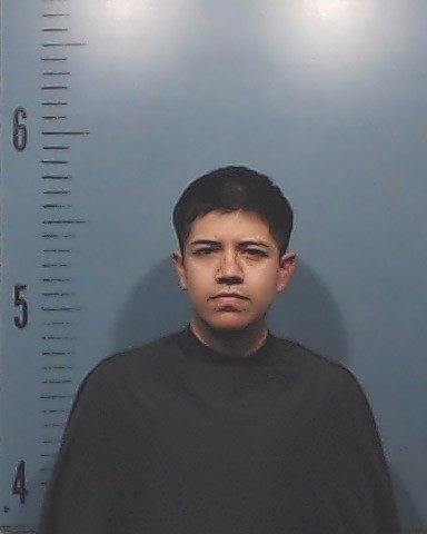 Zetino-Avelar, Osvaldo Antonio booking photo