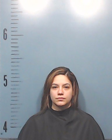 Valdez, Pamela Nancy booking photo