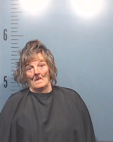 Fulton, Lisa Gail booking photo