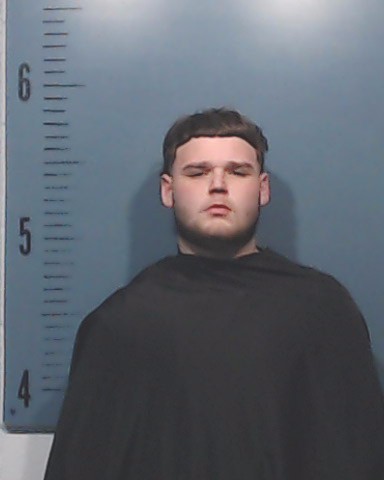 Hollis, Braxton Wesley booking photo