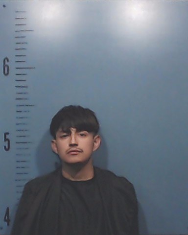 Flores, John Gabriel booking photo