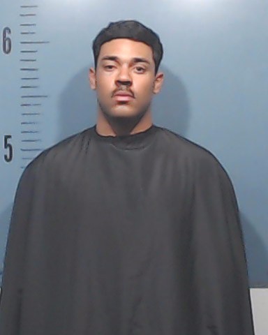 Brito Vinas, Johan Manuel booking photo