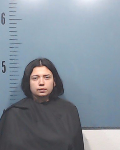 Chavez, Erica Daniela booking photo
