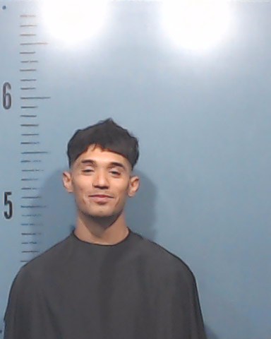 Melara, Francisco Adrian, Jr. booking photo