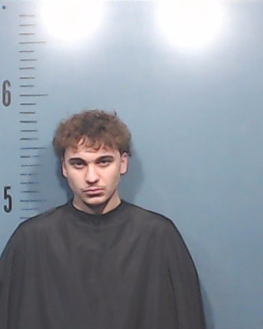 Devlin, Gage Krash booking photo