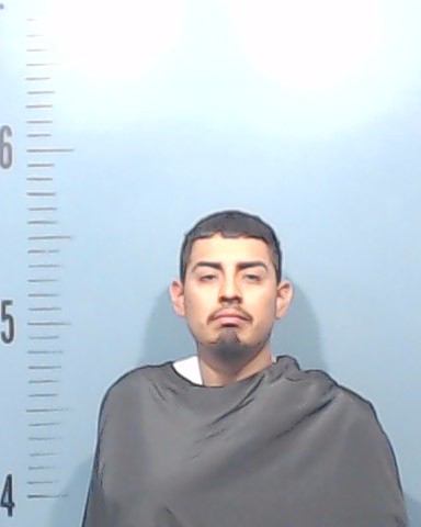 Villapando-Torres, Miguel Angel booking photo