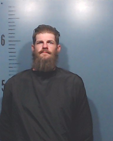 Goodfallow, Thomas Brian, Jr. booking photo