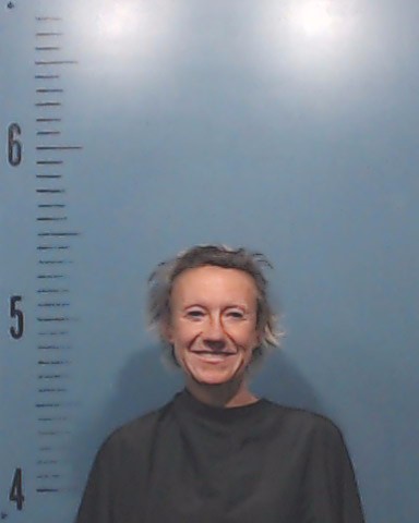 Denison, Jessica Lynn booking photo