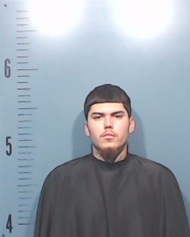 Schmittling, Robert Gene, IV booking photo