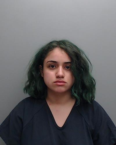 Navarro, Lidiana booking photo