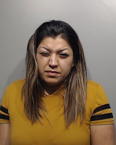 Olivares, Karen booking photo