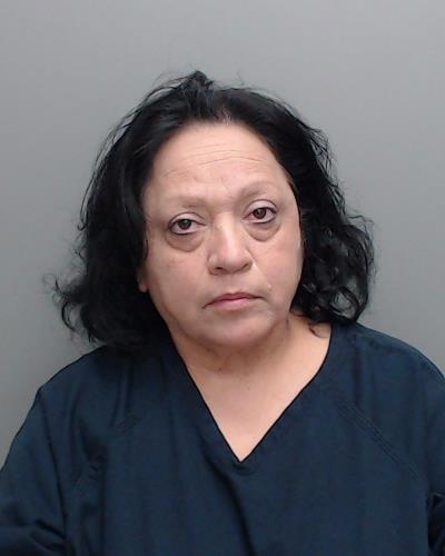 Trevino, Maria Luisa Ybarra booking photo