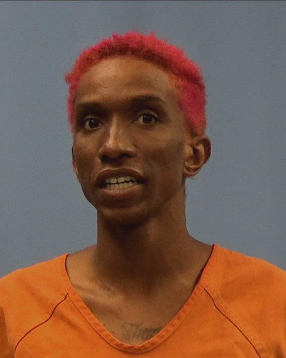 LEMLE, JULIAN DEMARCO booking photo