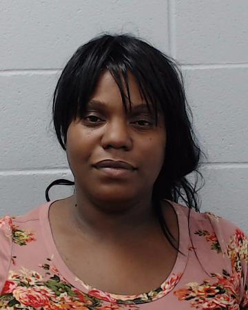 Johnson, Destiny Renee booking photo