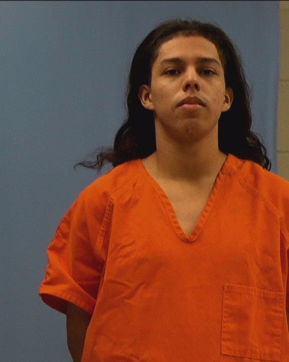 Venegas, Michael Christopher booking photo