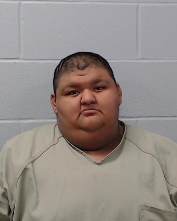 Hernandez, Angel Nicole booking photo