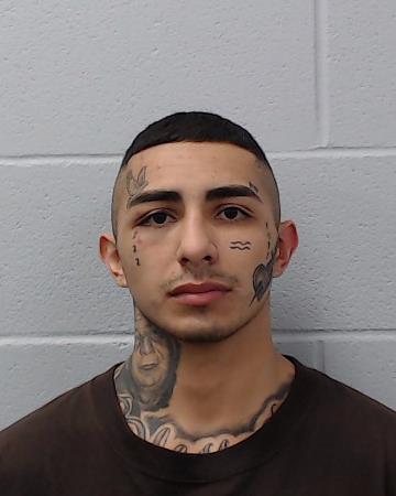 Rizk, David Jordan booking photo