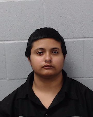 Garcia, Brianna Raquel booking photo