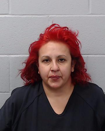 Gonzalez, Lisa booking photo
