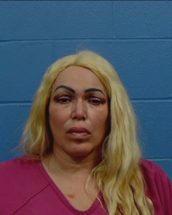 Radovcich, Robin Heather booking photo